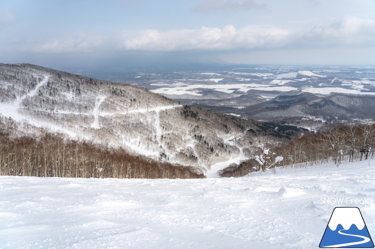 十勝サホロリゾート｜あの記録的な大雪から１週間…。ゲレンデのコンディションは、この上ないほど良好です(^^)v